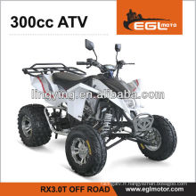 Vélo de Quad ATV 300cc EEC (Off Road)
